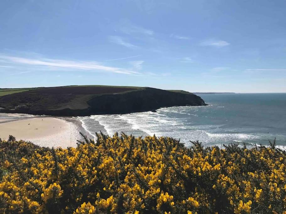 Cosy Rustic Annex In Quiet Cornwall Village Saint Wenn エクステリア 写真