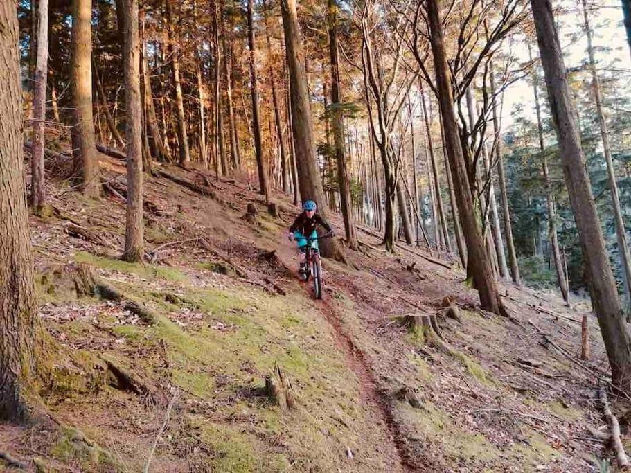 Cosy Rustic Annex In Quiet Cornwall Village Saint Wenn エクステリア 写真